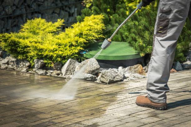 Best Sidewalk and Walkway Cleaning  in South Hill, VA