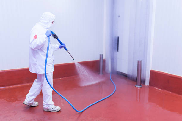 Boat and Dock Cleaning in South Hill, VA