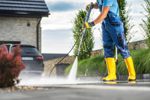 Best Animal Enclosure Cleaning  in South Hill, VA